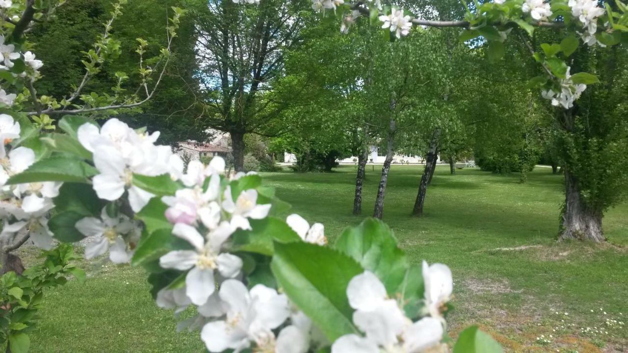 Le Logis De Vallans Εξωτερικό φωτογραφία
